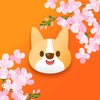 海狮视频播放器
